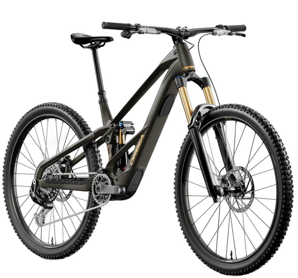 Orbea Wild M10