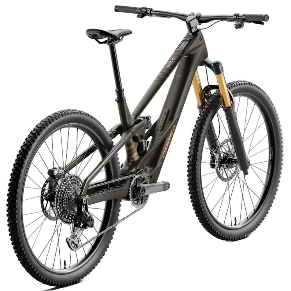 Orbea Wild M10